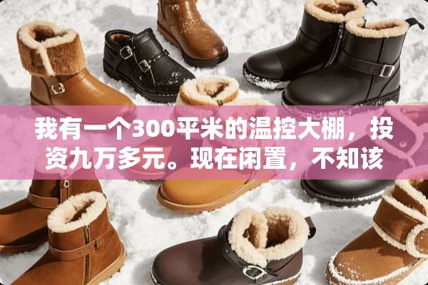 我有一个300平米的温控大棚，投资九万多元。现在闲置，不知该干什么用