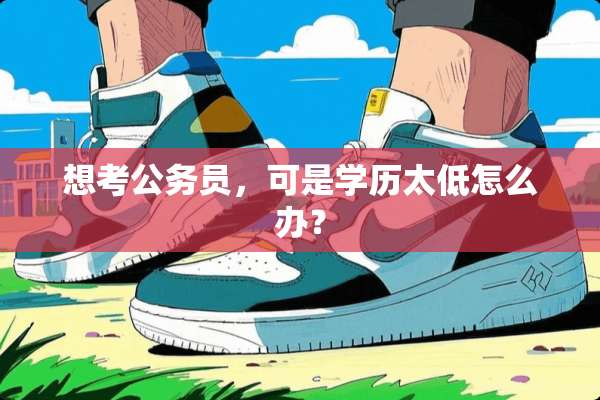 想考公务员，可是学历太低怎么办？