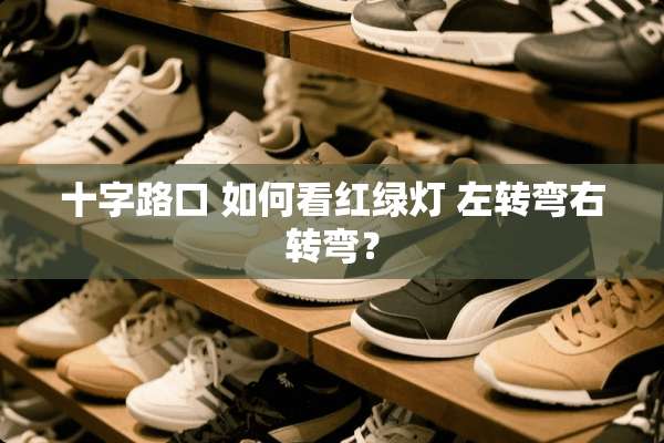 十字路口 如何看红绿灯 左转弯右转弯？