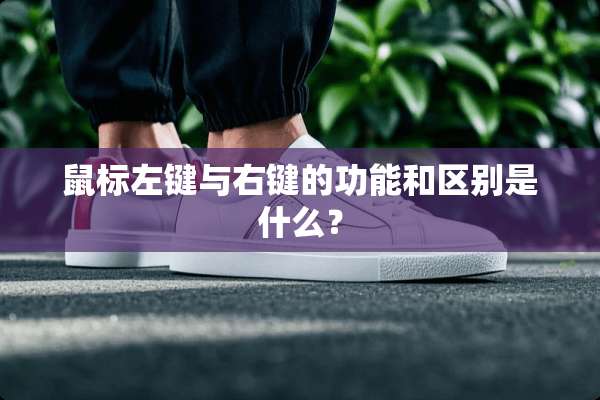鼠标左键与右键的功能和区别是什么？
