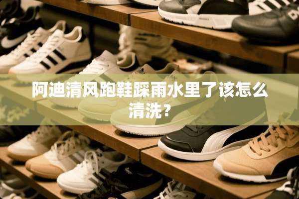 阿迪清风跑鞋踩雨水里了该怎么清洗？