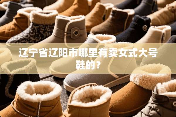 辽宁省辽阳市哪里有卖女式大号鞋的？