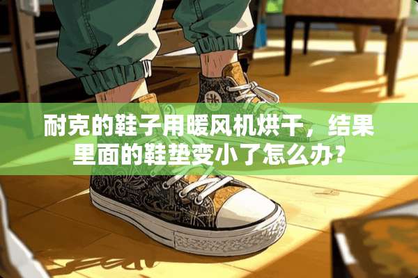 耐克的鞋子用暖风机烘干，结果里面的鞋垫变小了怎么办？