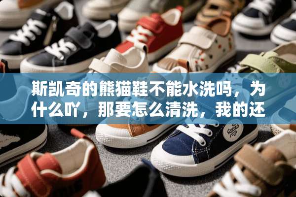 斯凯奇的熊猫鞋不能水洗吗，为什么吖，那要怎么清洗，我的还是白色的？