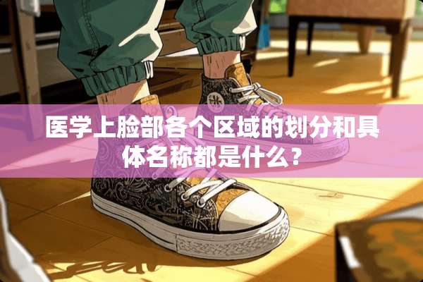 医学上脸部各个区域的划分和具体名称都是什么？