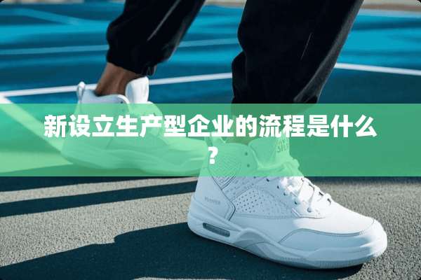 新设立生产型企业的流程是什么？