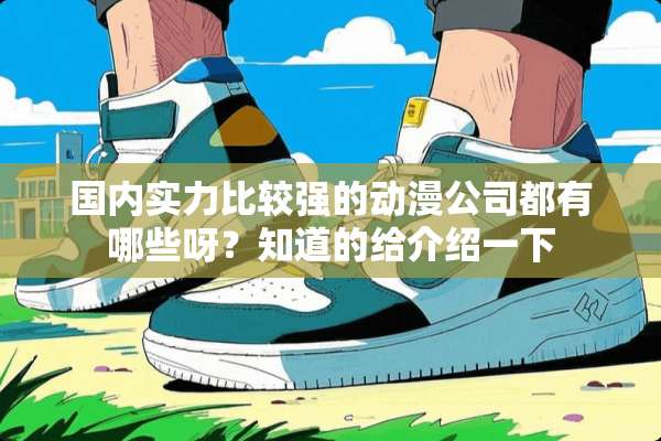 国内实力比较强的动漫公司都有哪些呀？知道的给介绍一下