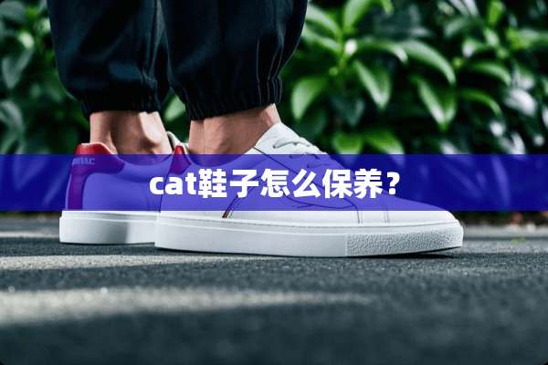 cat鞋子怎么保养？