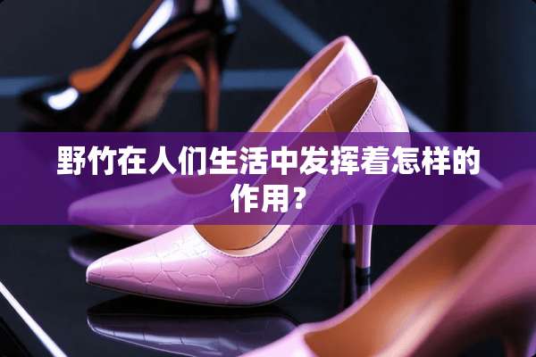 野竹在人们生活中发挥着怎样的作用？