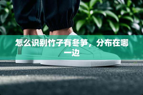 怎么识别竹子有冬笋，分布在哪一边