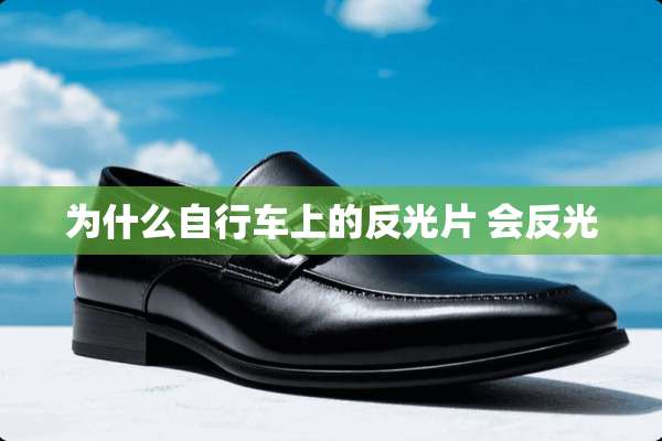 为什么自行车上的反光片 会反光