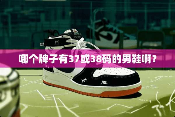 哪个牌子有37或38码的男鞋啊？