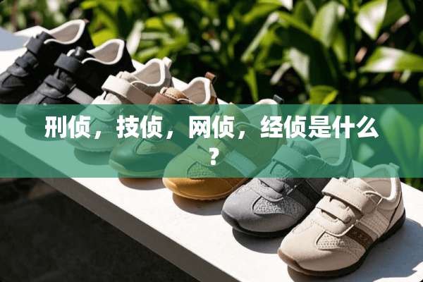刑侦，技侦，网侦，经侦是什么？