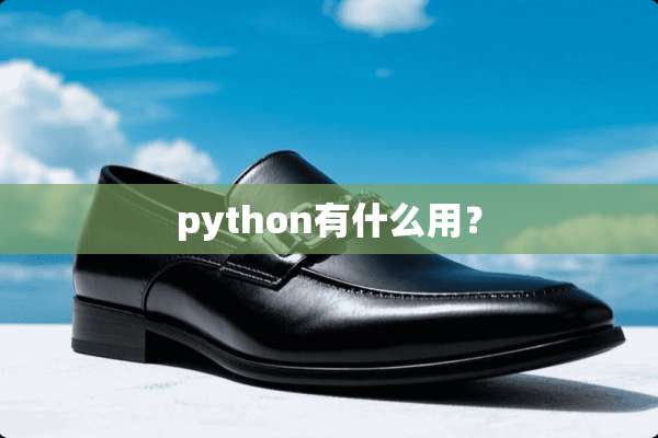 python有什么用？