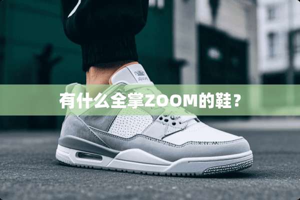 有什么全掌ZOOM的鞋？