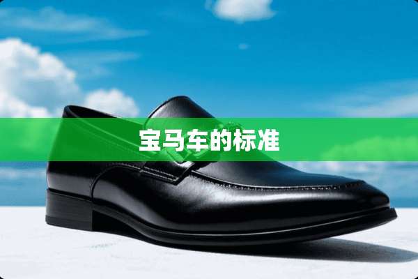 宝马车的标准