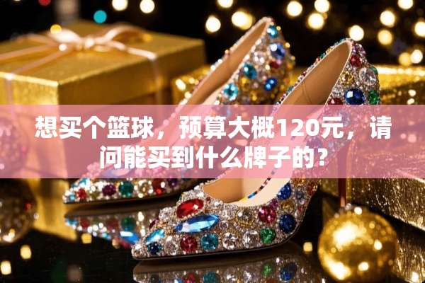 想买个篮球，预算大概120元，请问能买到什么牌子的？