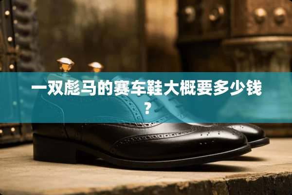 一双彪马的赛车鞋大概要多少钱？