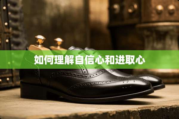 如何理解自信心和进取心