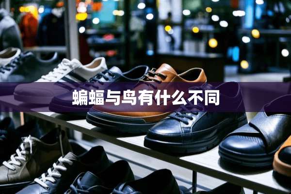 蝙蝠与鸟有什么不同