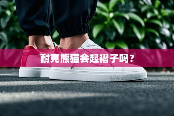 耐克熊猫会起褶子吗？