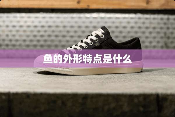 鱼的外形特点是什么