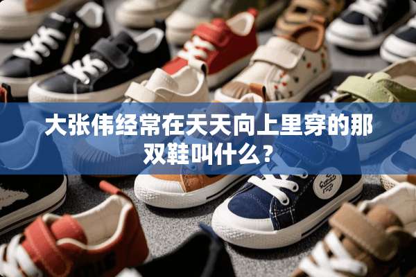大张伟经常在天天向上里穿的那双鞋叫什么？