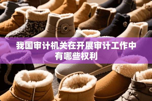 我国审计机关在开展审计工作中有哪些权利