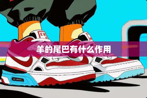 羊的尾巴有什么作用