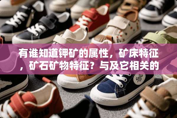 有谁知道钾矿的属性，矿床特征，矿石矿物特征？与及它相关的资料，越详细越好！