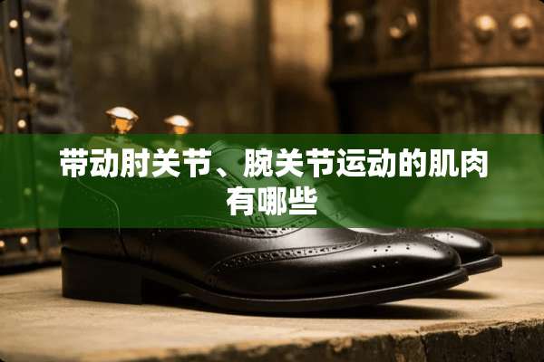 带动肘关节、腕关节运动的肌肉有哪些