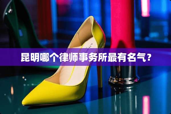 昆明哪个律师事务所最有名气？