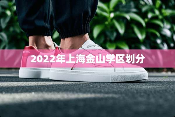 2022年上海金山学区划分