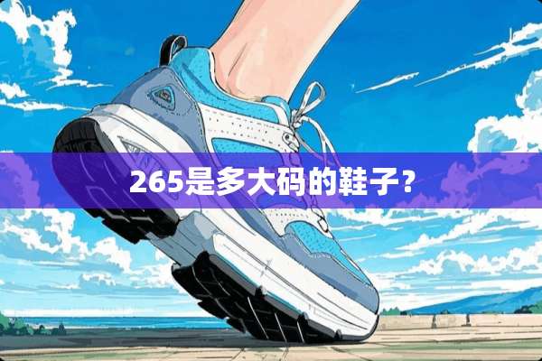 265是多大码的鞋子？
