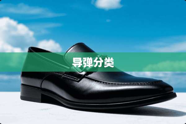 **分类