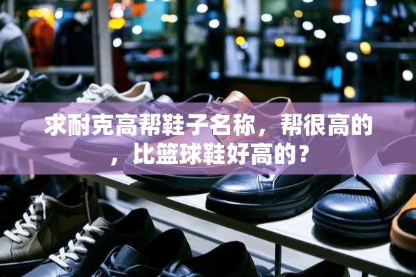 求耐克高帮鞋子名称，帮很高的，比篮球鞋好高的？