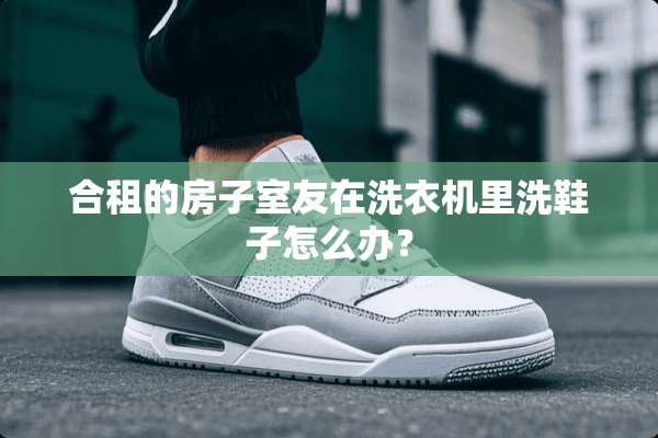 合租的房子室友在洗衣机里洗鞋子怎么办？
