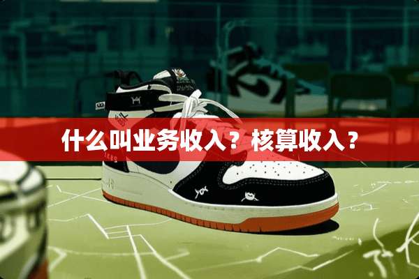 什么叫业务收入？核算收入？