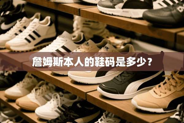 詹姆斯本人的鞋码是多少？