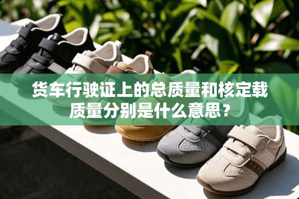 货车行驶证上的总质量和核定载质量分别是什么意思？