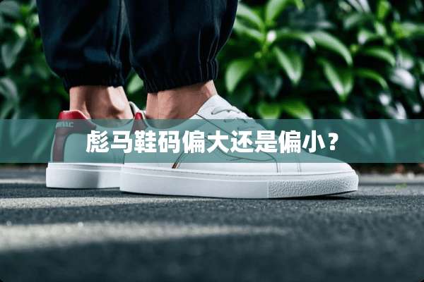 彪马鞋码偏大还是偏小？