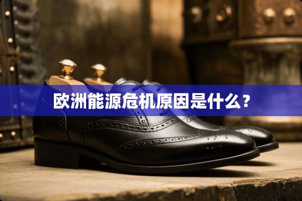 欧洲能源危机原因是什么？