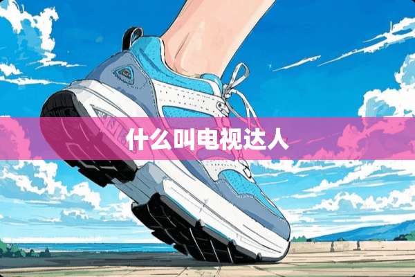 什么叫电视达人