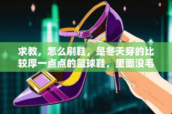 求教，怎么刷鞋，是冬天穿的比较厚一点点的篮球鞋，里面没毛，是棉，不透气？