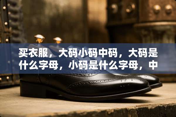 买衣服，大码小码中码，大码是什么字母，小码是什么字母，中码是什么字母