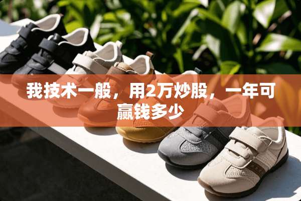 我技术一般，用2万炒股，一年可赢钱多少