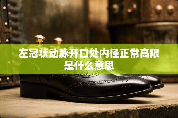 左冠状动脉开口处内径正常高限是什么意思
