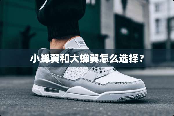 小蝉翼和大蝉翼怎么选择？
