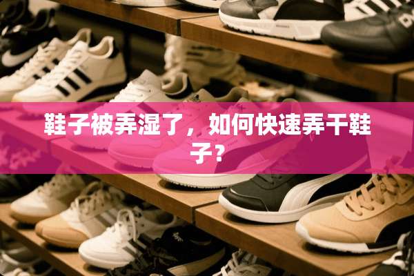鞋子被弄湿了，如何快速弄干鞋子？