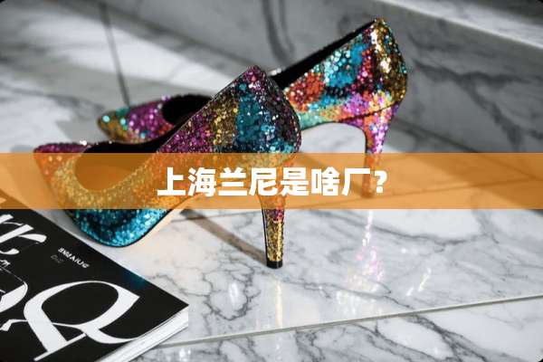 上海兰尼是啥厂？